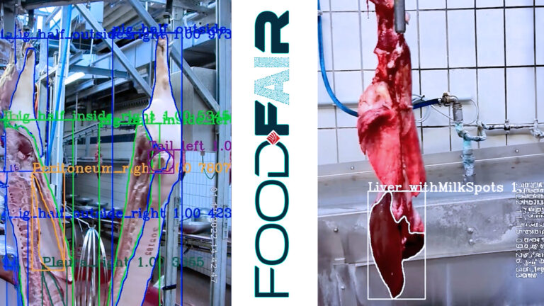Scan der Organbefundung mit bewerteten Organen