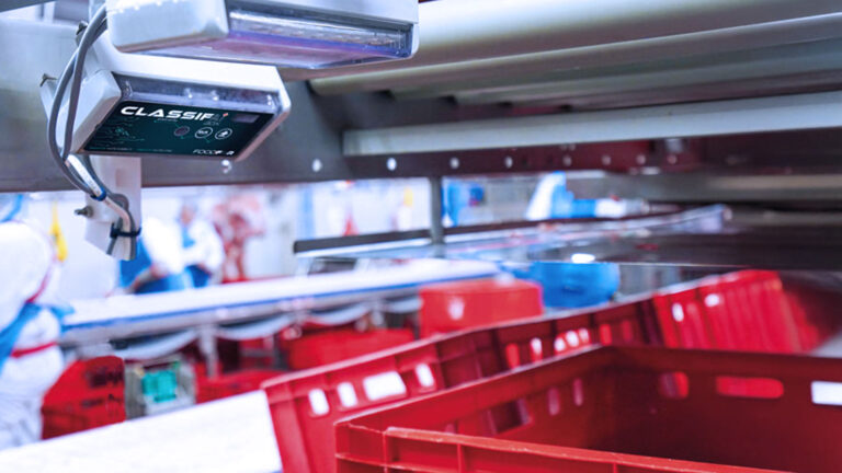 Classifaibox scannt Produktinhalt im Zerlegebetrieb