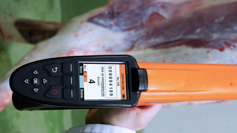 Lesegerät der RFID Ohrmarkenerkennung mit erkannter Nummer auf Display